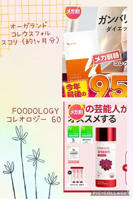 コレオロジー/FOODOLOGY/ボディサプリメントを使ったクチコミ(1枚目)