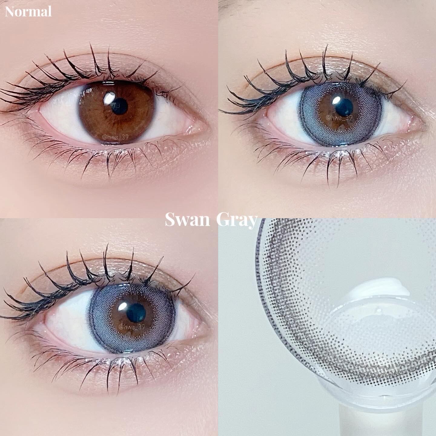 Angelcolor Bambi Series 1day /AngelColor/ワンデー（１DAY）カラコンを使ったクチコミ（3枚目）