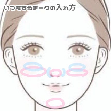 サーカスシリーズ グラデーションブラッシュ /FlowerKnows/パウダーチークを使ったクチコミ(3枚目)