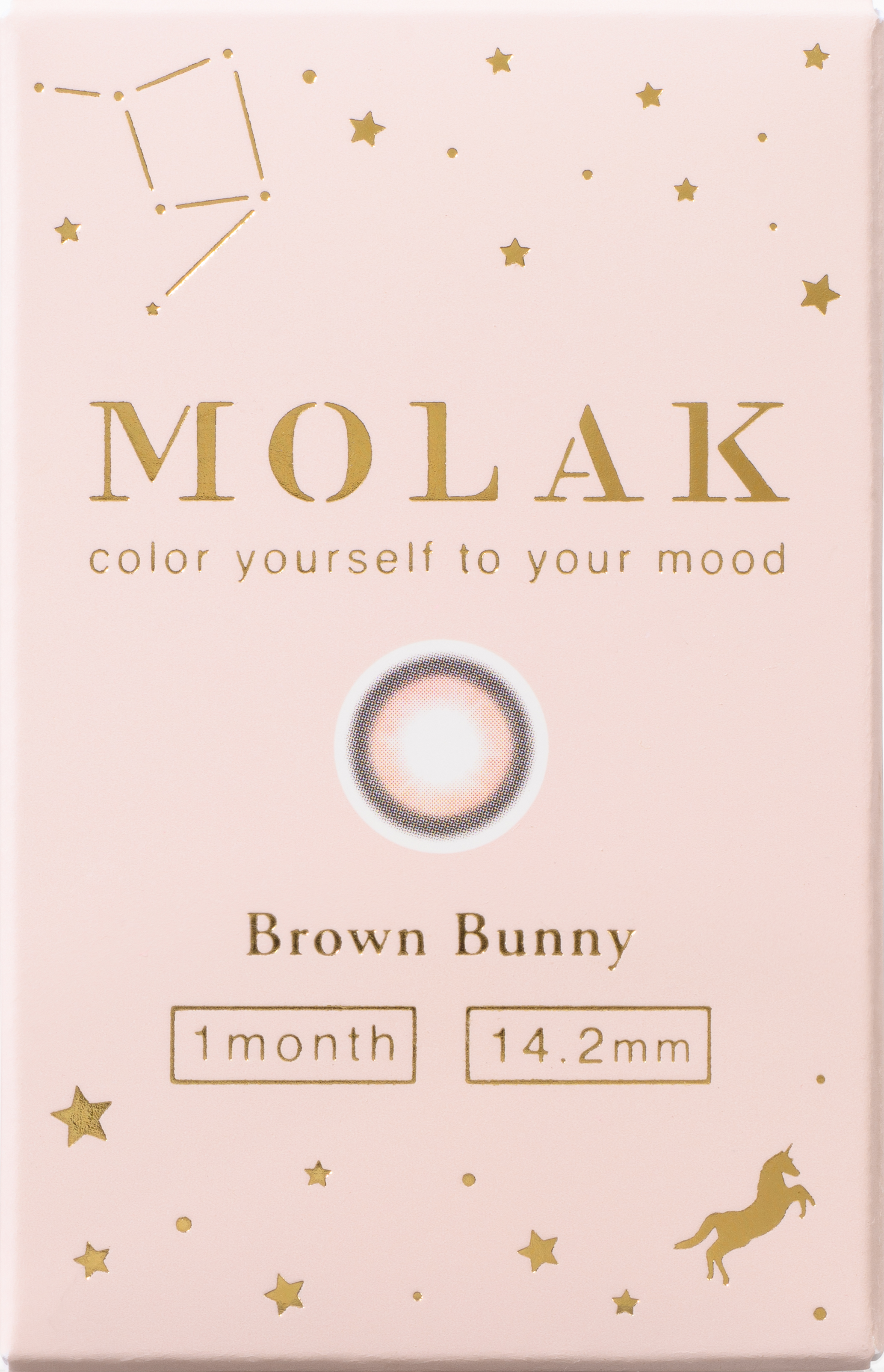 MOLAK 1month ブラウンバニー