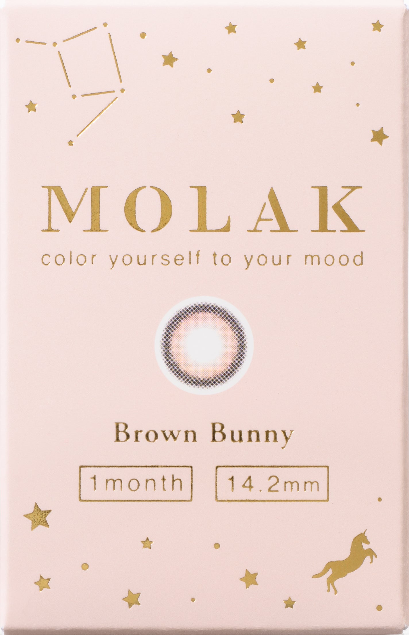 MOLAK 1month ブラウンバニー