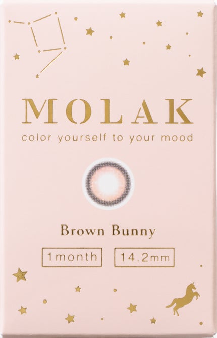 ブラウンバニー