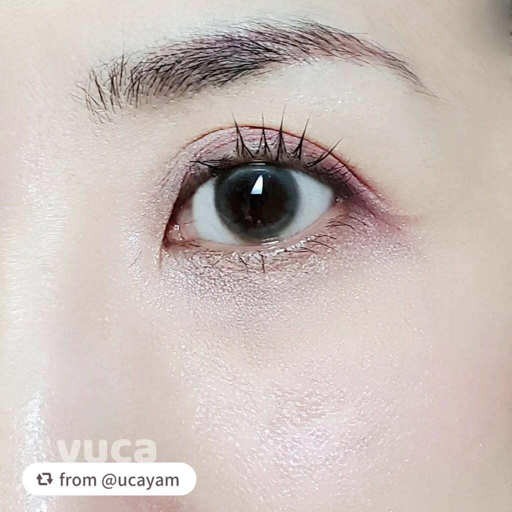 フィット my カラーパレット/STEIASUR(ステイアシュール)/マルチパレットを使ったクチコミ(4枚目)