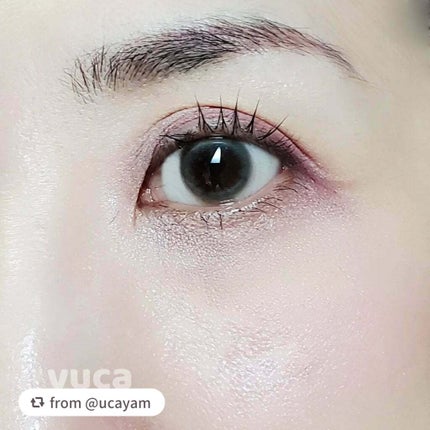 フィット my カラーパレット/STEIASUR(ステイアシュール)/マルチパレットを使ったクチコミ(4枚目)