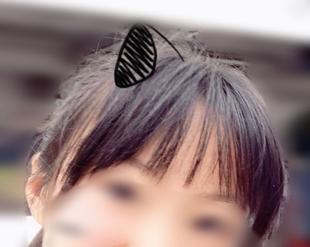 トリートメント サラ水N(サラの香り)/SALA/ヘアミストを使ったクチコミ（2枚目）