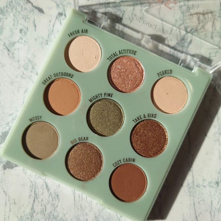 The Feels/ColourPop/アイシャドウパレットを使ったクチコミ(3枚目)