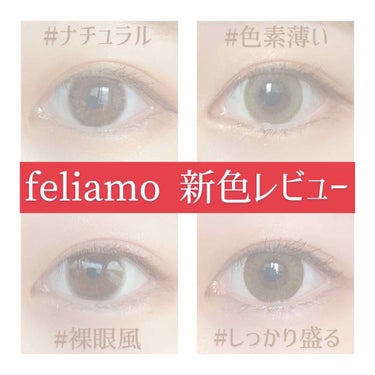 feliamo 1day チェスナット/feliamo/ワンデー（１DAY）カラコンを使ったクチコミ（1枚目）