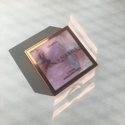 VenusMarble 9色アイシャドウパレット/Venus Marble/アイシャドウパレットを使ったクチコミ(2枚目)