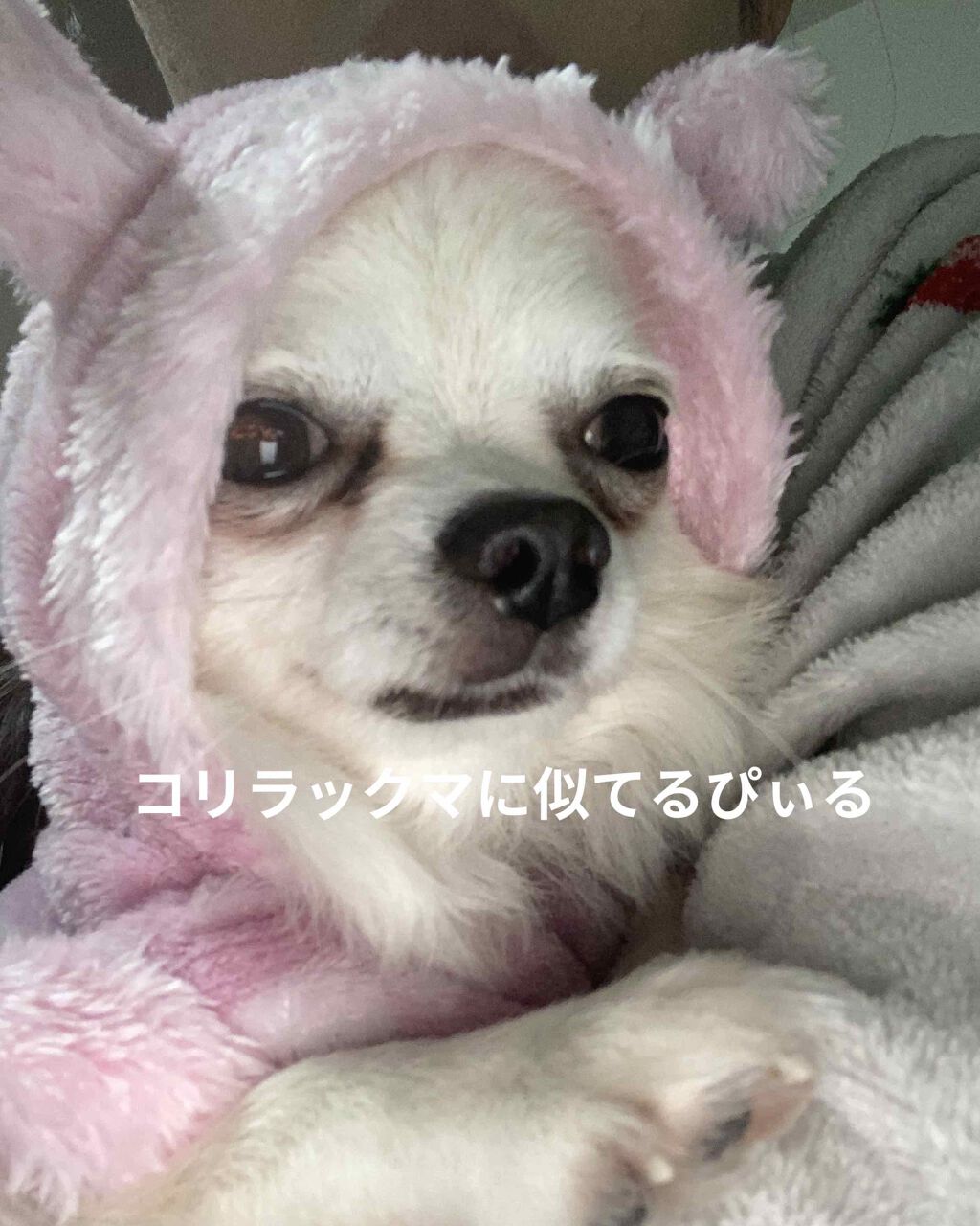 チョコラBBドリンクビット(医薬品)/チョコラBB/その他を使ったクチコミ(8枚目)