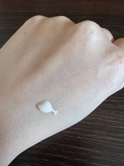 スキンケアUV下地/なめらか本舗/化粧下地を使ったクチコミ(4枚目)