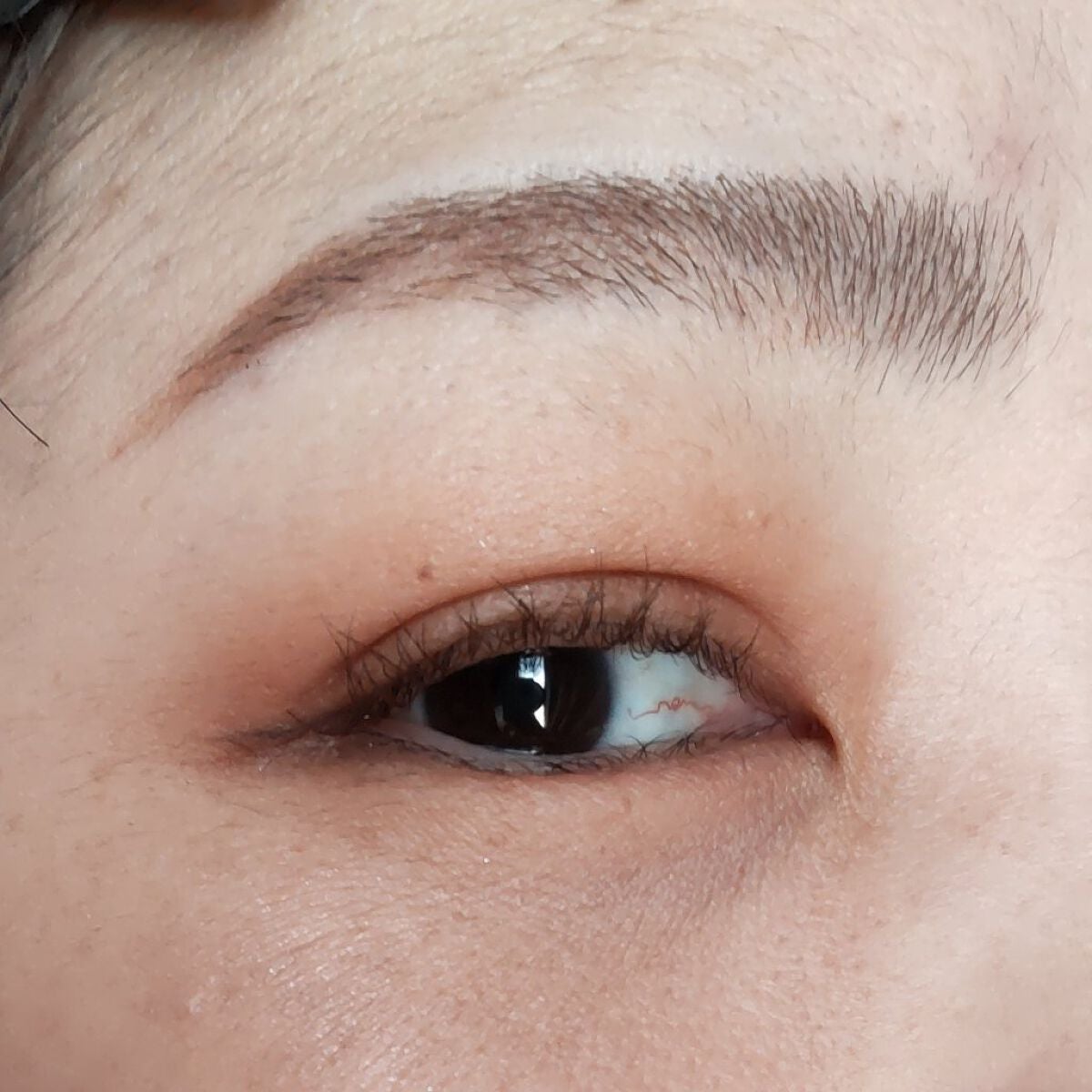 極細アイブロウマスカラ/CEZANNE/眉マスカラを使ったクチコミ(4枚目)