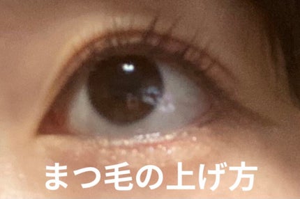 アイラッシュカーラー/SHISEIDO/ビューラーを使ったクチコミ(1枚目)