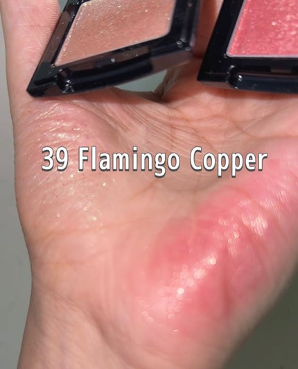 ラズル アイカラー/エレガンス ラズル /単色アイシャドウを使ったクチコミ(4枚目)