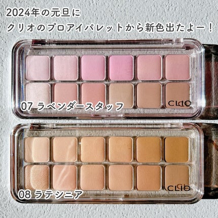 プロ アイ パレット エアー/CLIO/アイシャドウパレットを使ったクチコミ(2枚目)