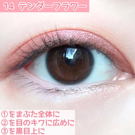 ジューシーピュアアイズ/キャンメイク/アイシャドウパレットを使ったクチコミ(6枚目)