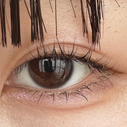 フェイスグロウカラー/CEZANNE/クリームハイライトを使ったクチコミ(3枚目)