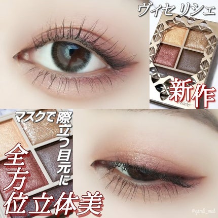 パノラマデザイン アイパレット/Visée/アイシャドウパレットを使ったクチコミ(1枚目)