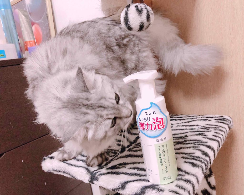 泡洗顔/ちふれ/泡洗顔を使ったクチコミ(1枚目)