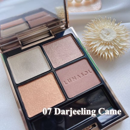 アイカラーレーション/LUNASOL/アイシャドウパレットを使ったクチコミ(4枚目)