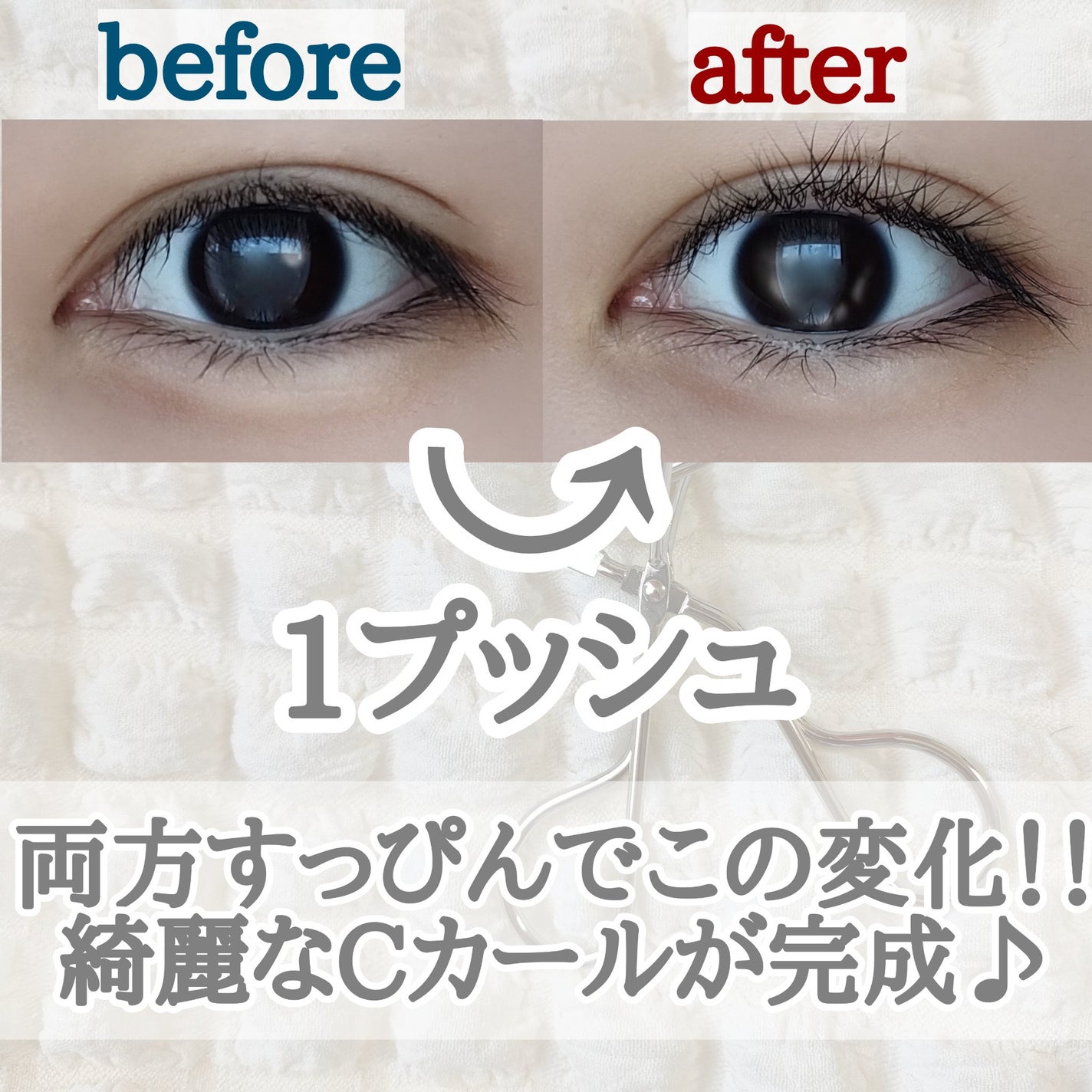 ãŸã€ãã«ããããã«ãŒã©ãŒ/SHOBIDO/ãã¥ãŒã©ãŒã䜿ã£ãã¯ãã³ãïŒ2æç®ïŒ