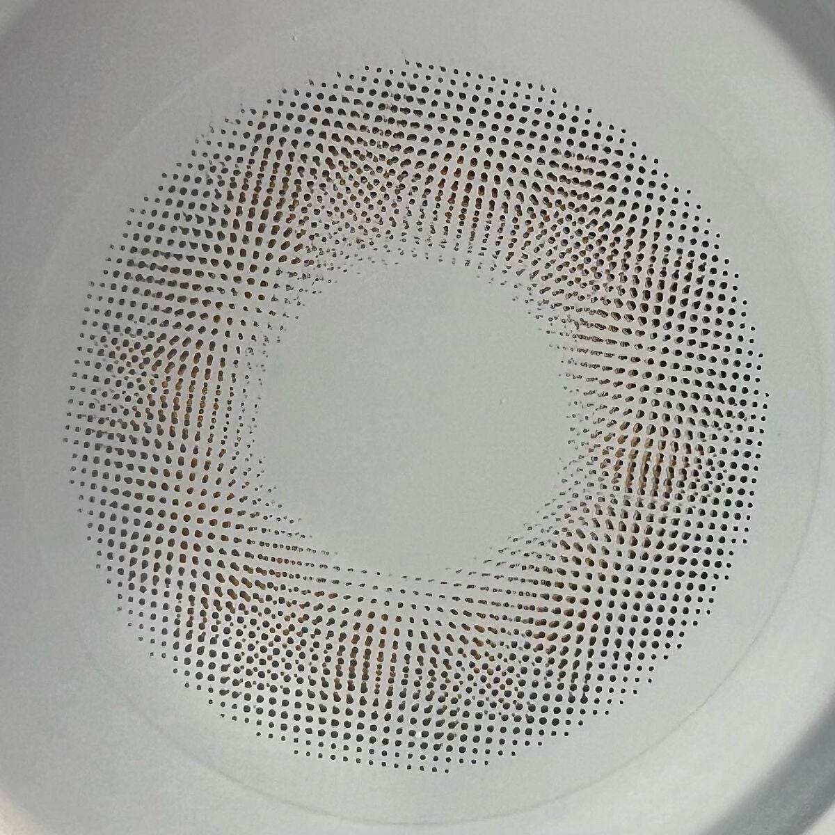 N’s COLLECTION 1day/N’s COLLECTION/ワンデー(1DAY)カラコンを使ったクチコミ(3枚目)