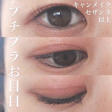 【旧品】パーフェクトスタイリストアイズ/キャンメイク/アイシャドウパレットを使ったクチコミ(1枚目)