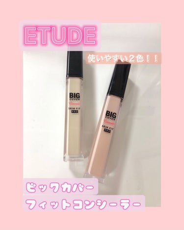 ビッグカバーフィットコンシーラー ニュートラルミント/ETUDE/リキッドコンシーラーを使ったクチコミ（1枚目）