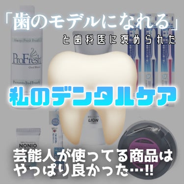フロアフロス/オーラルケア/デンタルフロス・歯間ブラシを使ったクチコミ（1枚目）