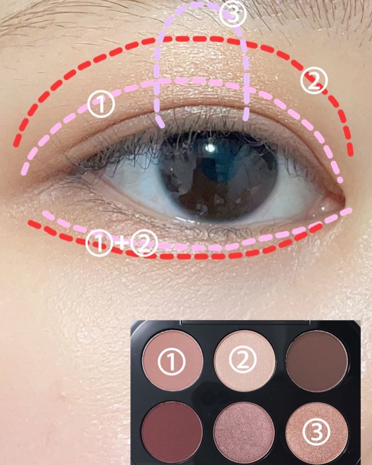 コネクト イン カラー アイシャドウ パレット × 6/M・A・C/アイシャドウパレットを使ったクチコミ(6枚目)