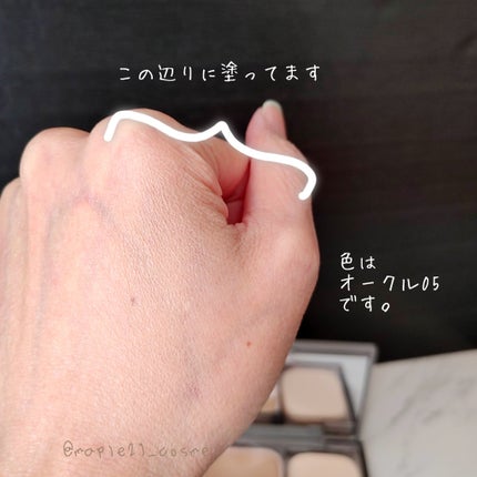 プリマヴィスタ ブライトチャージ パウダー/プリマヴィスタ/パウダーファンデーションを使ったクチコミ(2枚目)