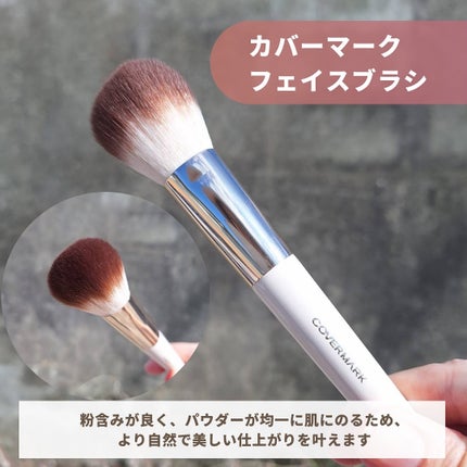カバーマーク ライティング カラー パウダー/COVERMARK/パウダーチークを使ったクチコミ(5枚目)