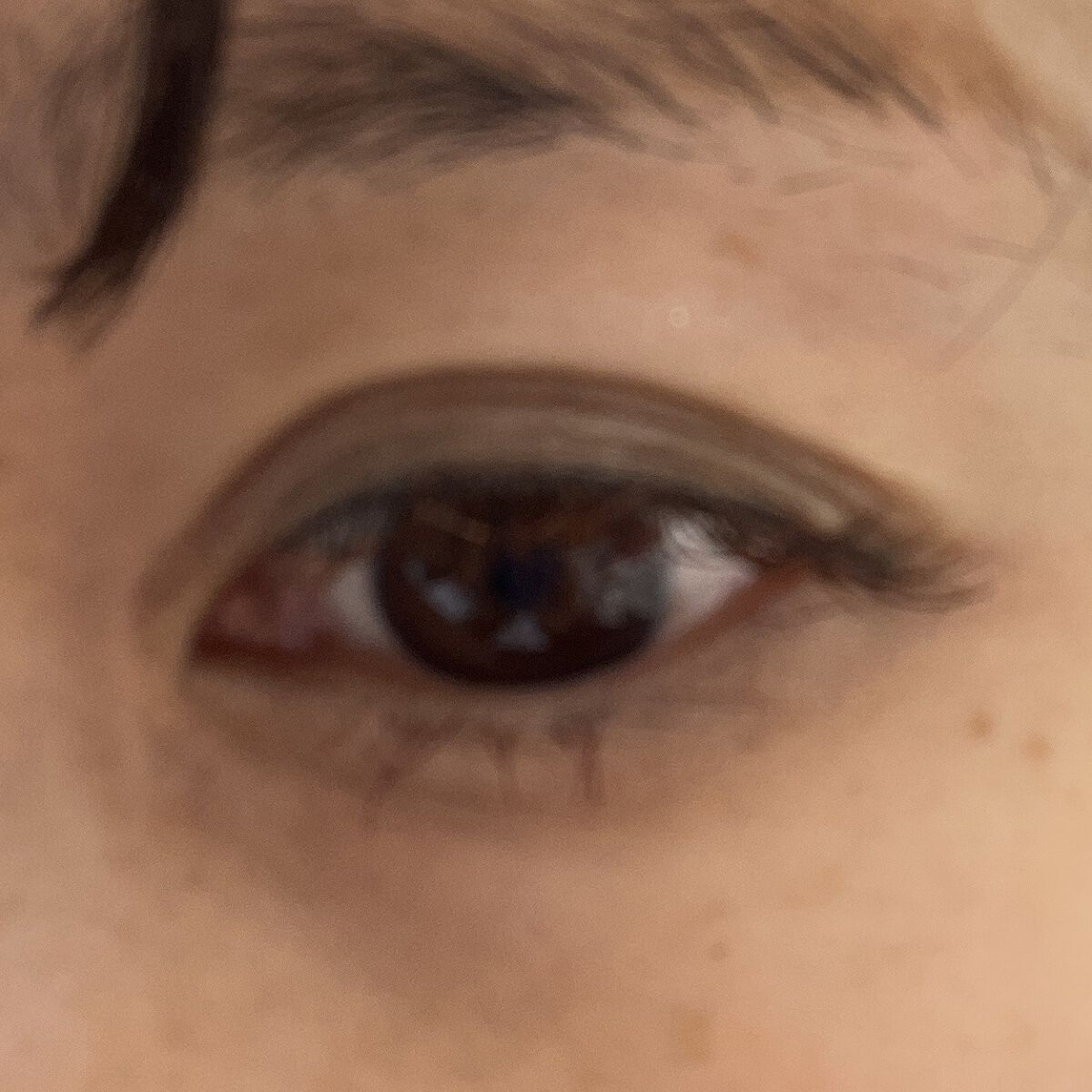 オールラッシュマスク ブラウンニュアンス コレクション シナモンブラウン/ラブ・ライナー/マスカラを使ったクチコミ（1枚目）