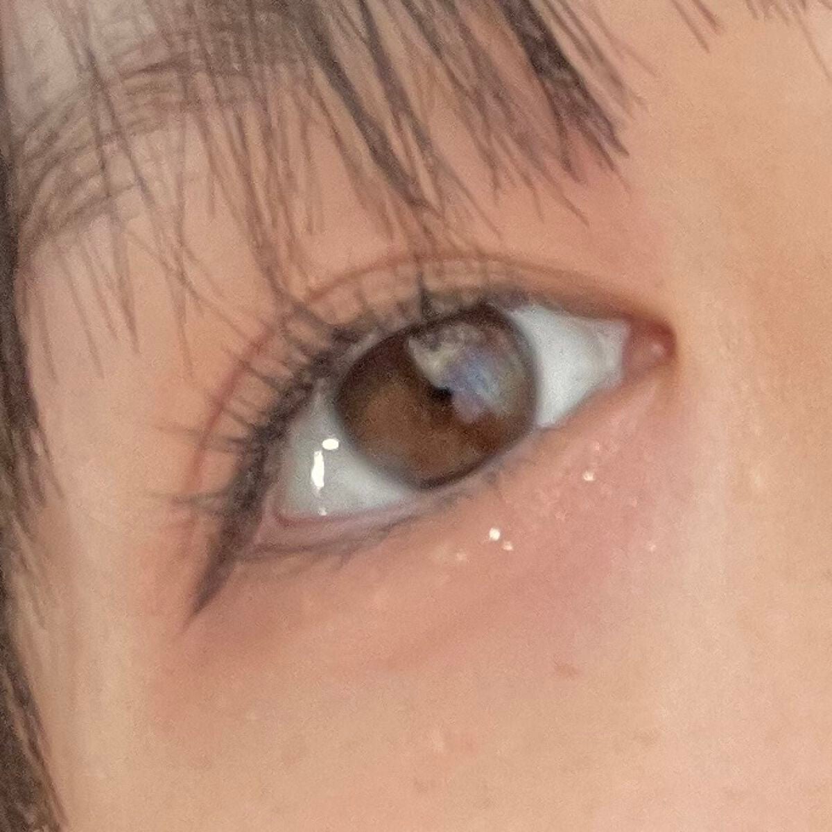 シルキースフレアイズ(マットタイプ)/キャンメイク/アイシャドウパレットを使ったクチコミ(4枚目)