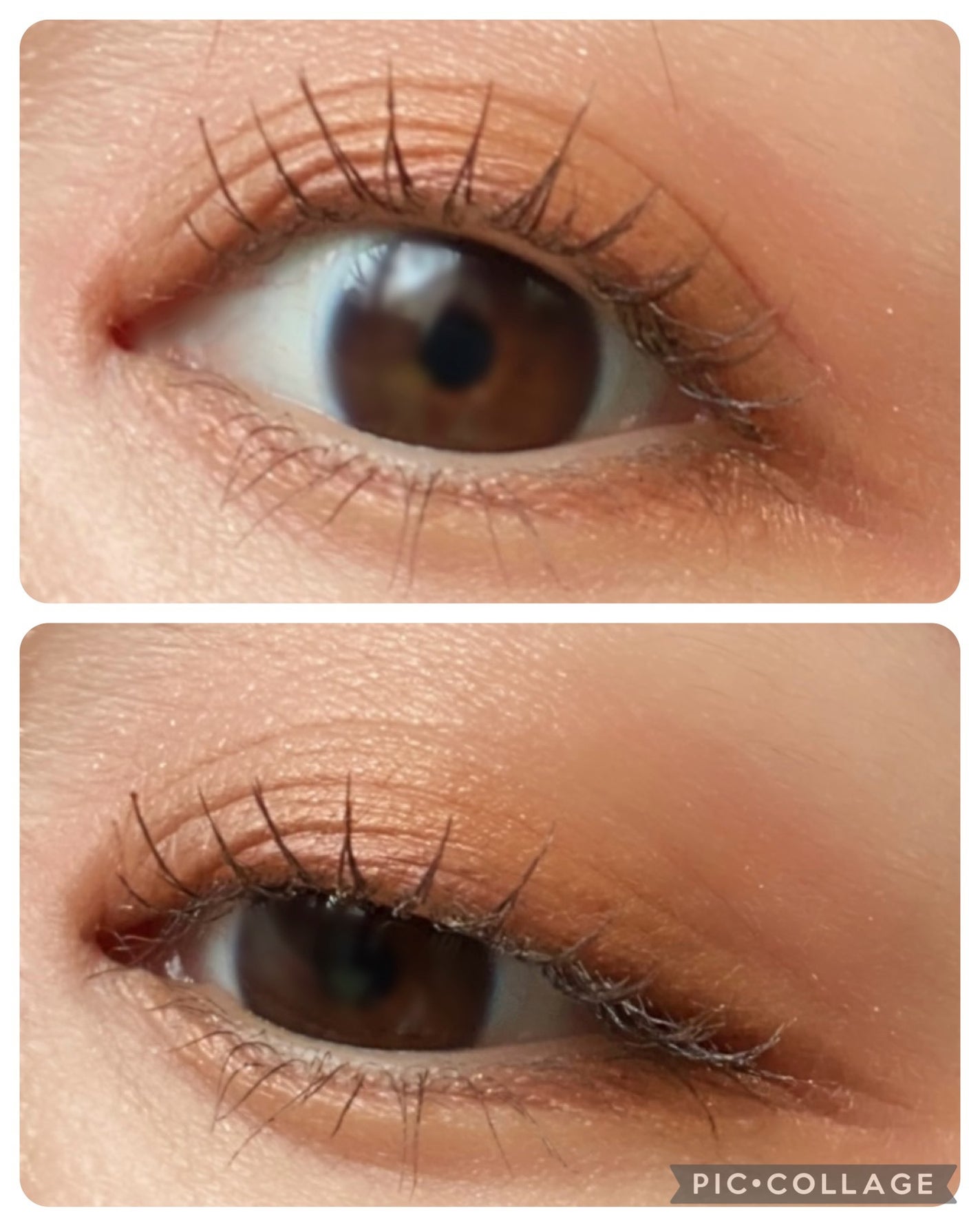 ウォンジョンヨ ヌードアイラッシュ/Wonjungyo/マスカラを使ったクチコミ(2枚目)