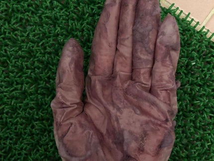 泡カラー/リーゼ/ヘアカラーを使ったクチコミ(2枚目)