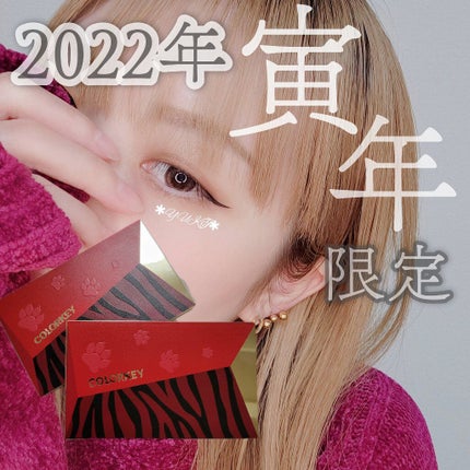 トラ十色アイシャドウパレット/COLORKEY/アイシャドウパレットを使ったクチコミ(1枚目)