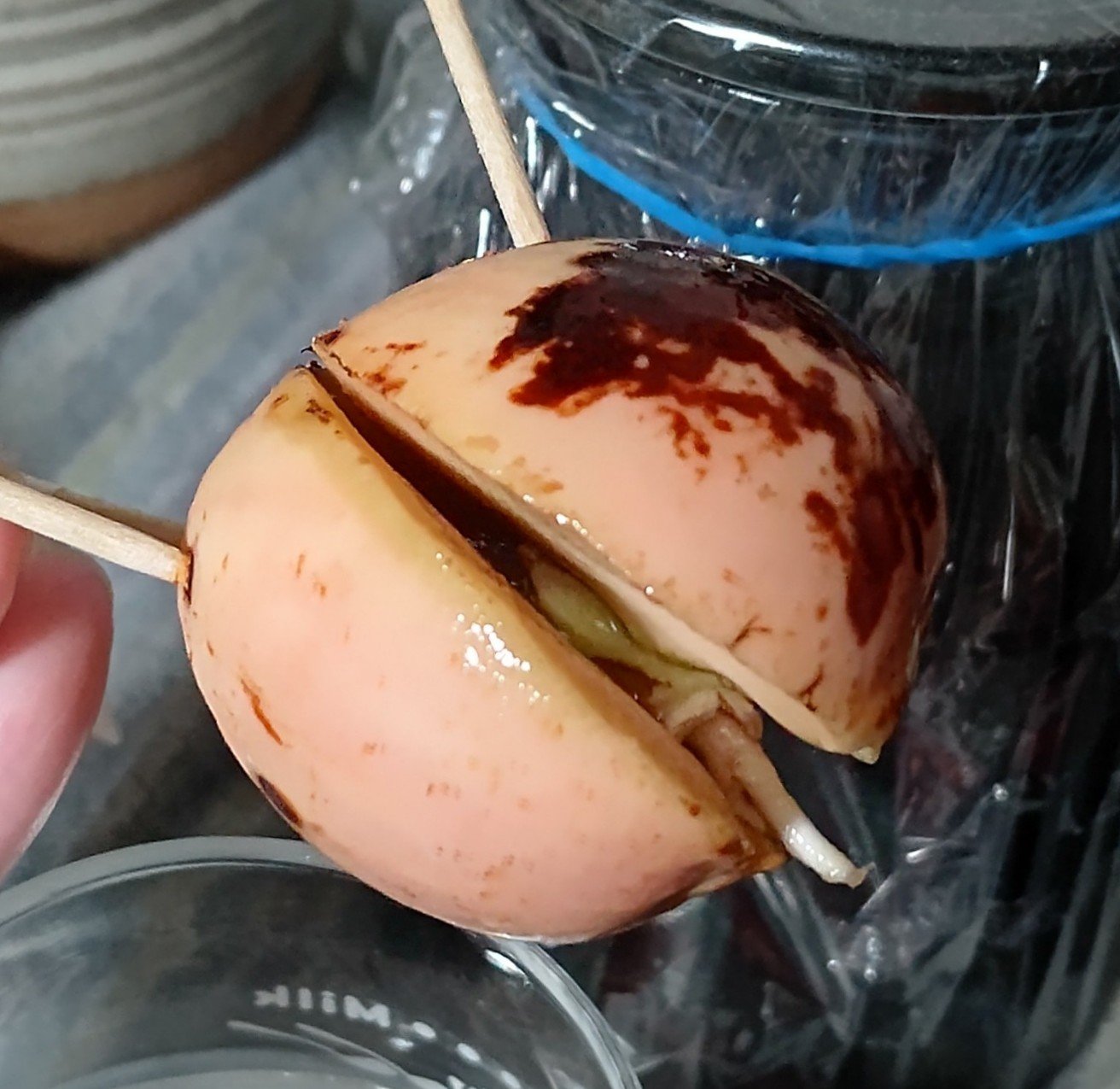 ガラス花瓶/DAISO/その他を使ったクチコミ（1枚目）