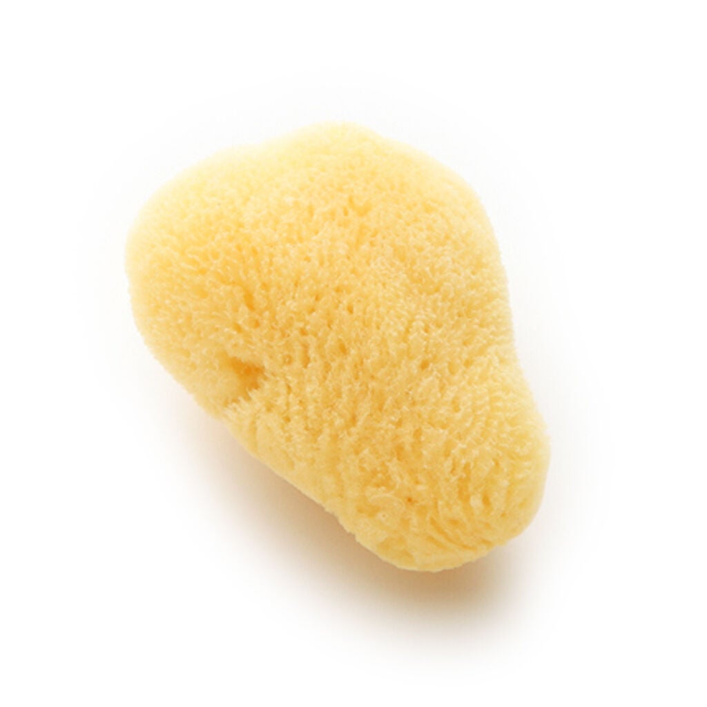 天然海綿N M1P チャスティ