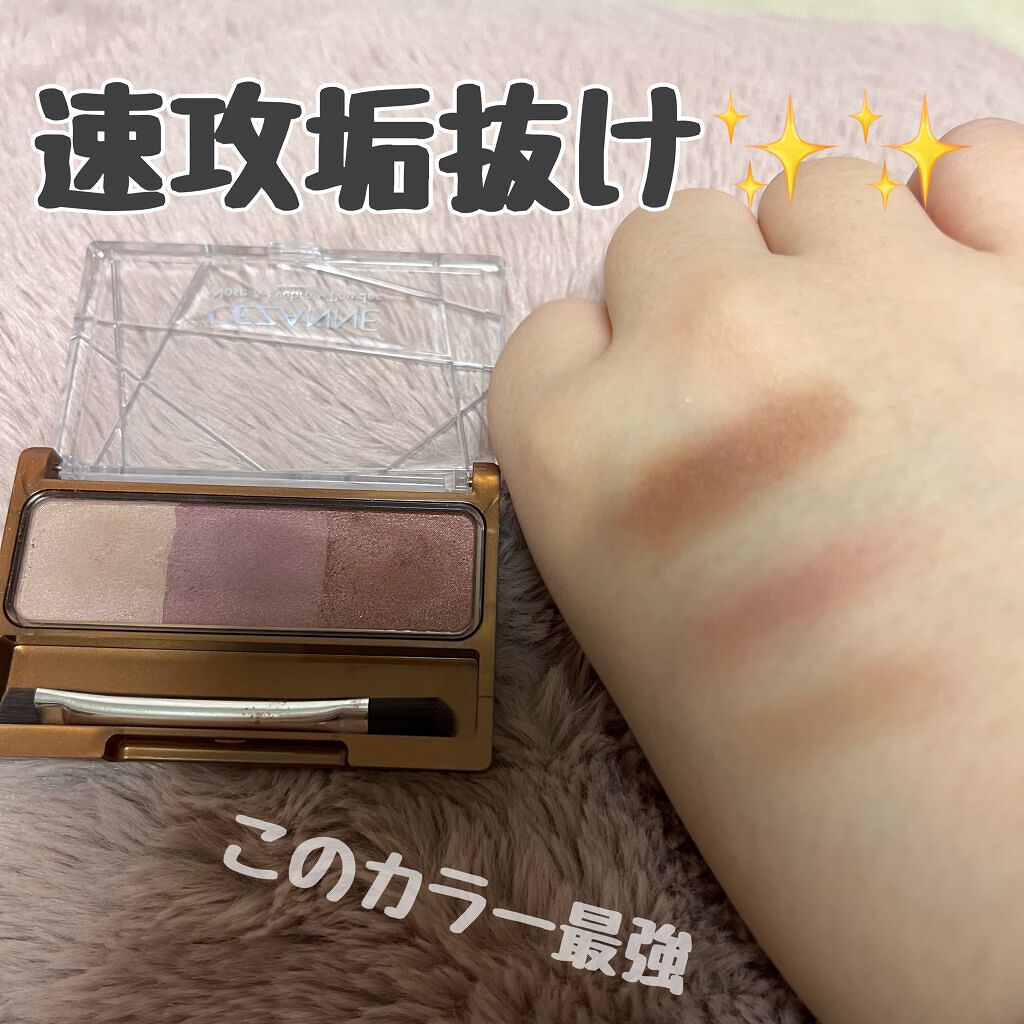 ノーズ&アイブロウパウダー/CEZANNE/パウダーアイブロウを使ったクチコミ(1枚目)