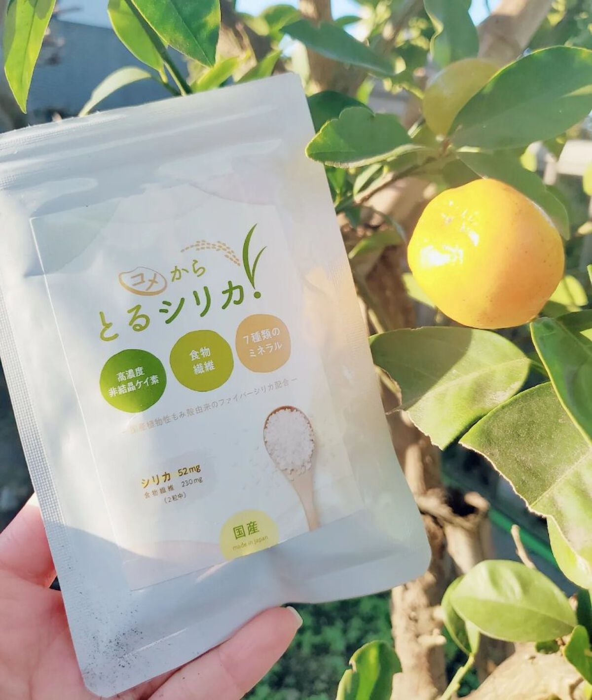 コメからとるシリカ/コメからとるシリカ/美容サプリメントを使ったクチコミ(1枚目)