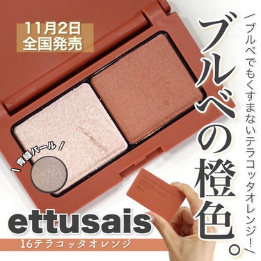 アイエディション(カラーパレット)/ettusais/アイシャドウパレットを使ったクチコミ（1枚目）