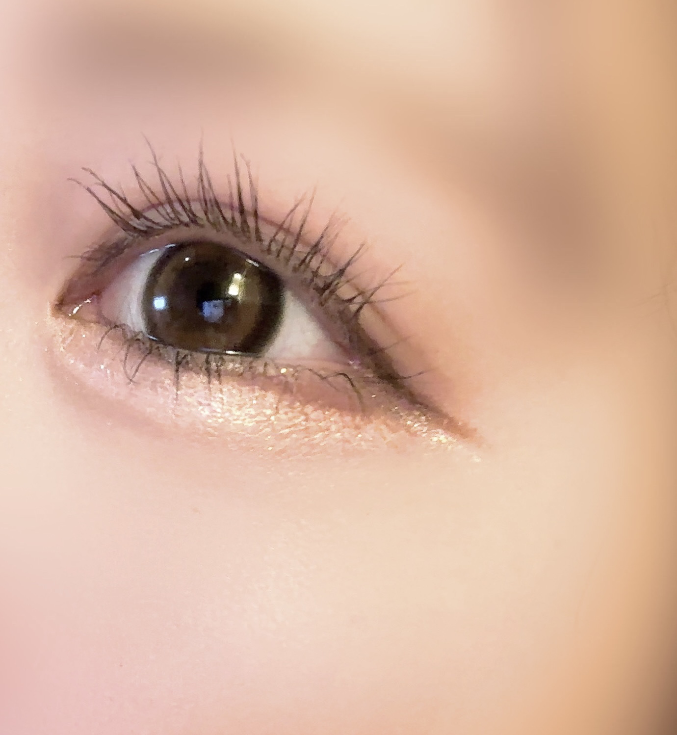 candymagic1day（キャンディーマジックワンデー）/candy magic/ワンデー（１DAY）カラコンを使ったクチコミ（1枚目）