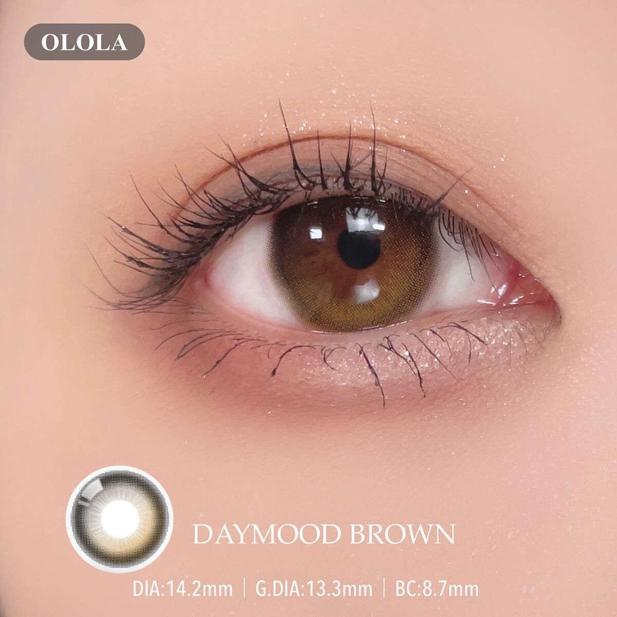 デームードブラウンマンスリー (DAYMOOD BROWN monthly)/OLOLA/1ヶ月(1MONTH)カラコンを使ったクチコミ(3枚目)