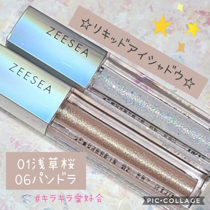 ダイヤモンドシリーズ 星空リキッドアイシャドウ/ZEESEA/リキッドアイシャドウを使ったクチコミ(1枚目)