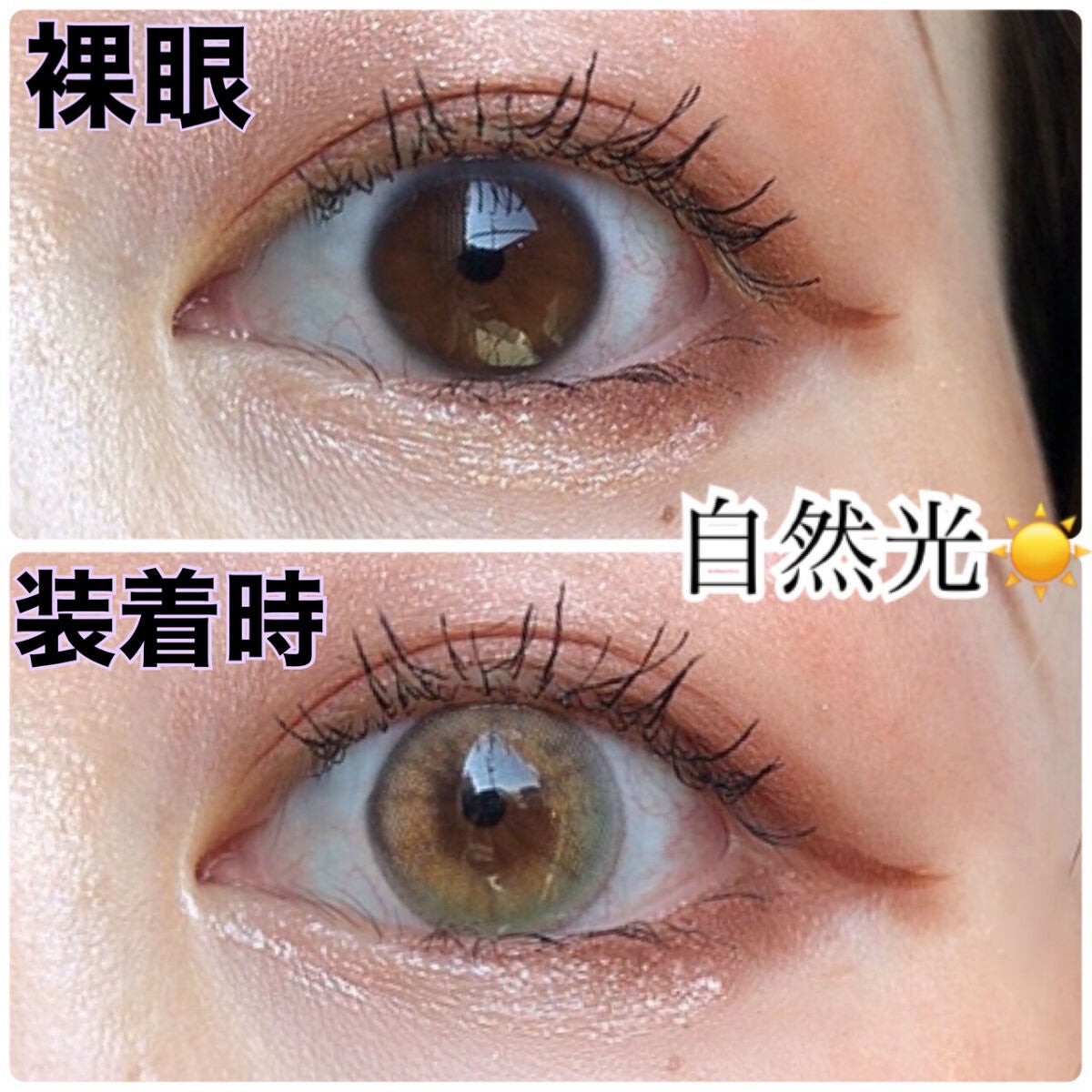 i-SHA ARENDELLE/蜜のレンズ/カラーコンタクトレンズを使ったクチコミ(3枚目)