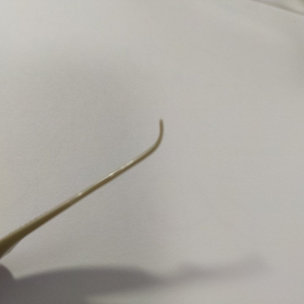 TWOOL ダブルアイリッドグルー/SHOBIDO/二重まぶた用アイテムを使ったクチコミ(9枚目)