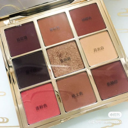 長相思シリーズ 9色アイシャドウパレット/CATKIN/アイシャドウパレットを使ったクチコミ(2枚目)