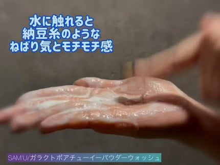 サミュ ガラクトポア チューイー パウダーウォッシュ/SAM'U/洗顔パウダーを使ったクチコミ(2枚目)