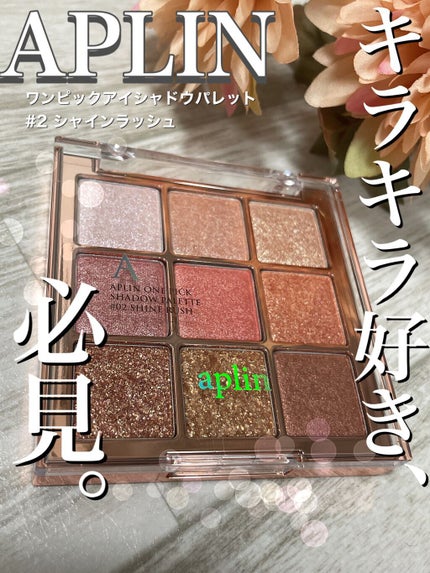ワンピックアイシャドウパレット/APLIN/アイシャドウパレットを使ったクチコミ(1枚目)