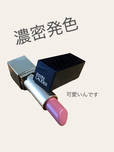 ピュア カラー エンヴィ リップスティック/ESTEE LAUDER/口紅を使ったクチコミ（1枚目）